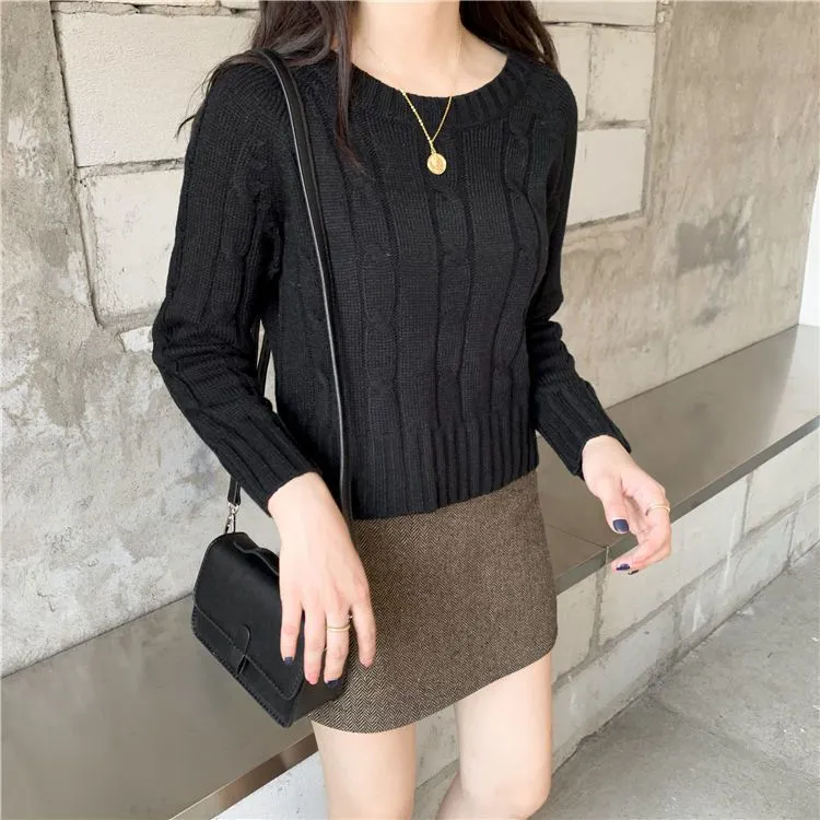 Chunky Braid Crew necks Twist Knit Pima Cotton Sweater Pullover