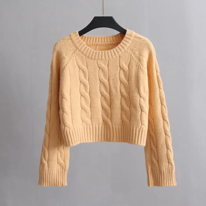Chunky Braid Crew necks Twist Knit Pima Cotton Sweater Pullover