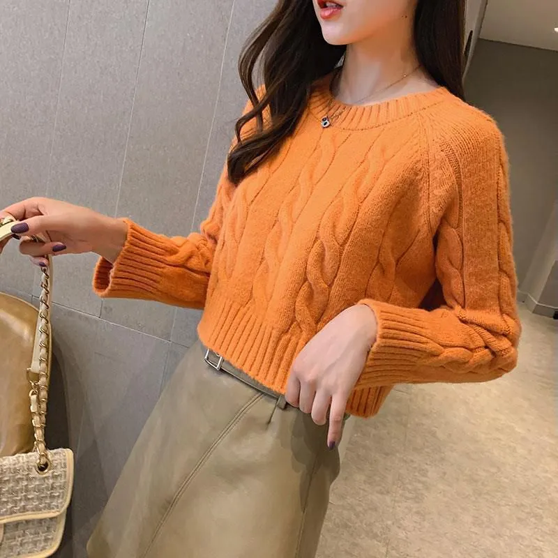Chunky Braid Crew necks Twist Knit Pima Cotton Sweater Pullover