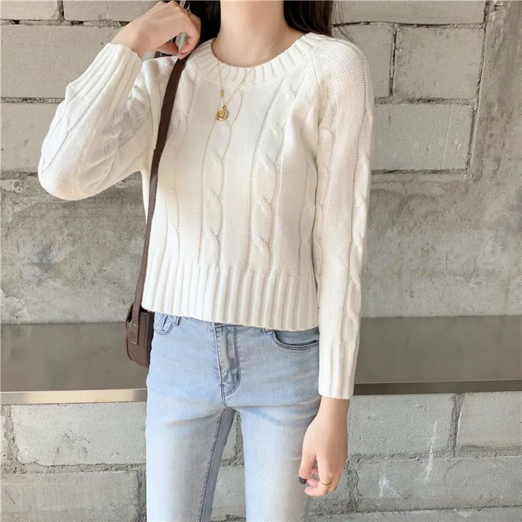 Chunky Braid Crew necks Twist Knit Pima Cotton Sweater Pullover