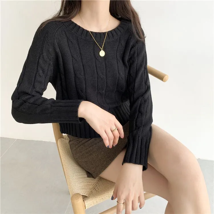 Chunky Braid Crew necks Twist Knit Pima Cotton Sweater Pullover