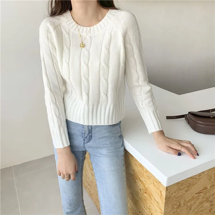 Chunky Braid Crew necks Twist Knit Pima Cotton Sweater Pullover