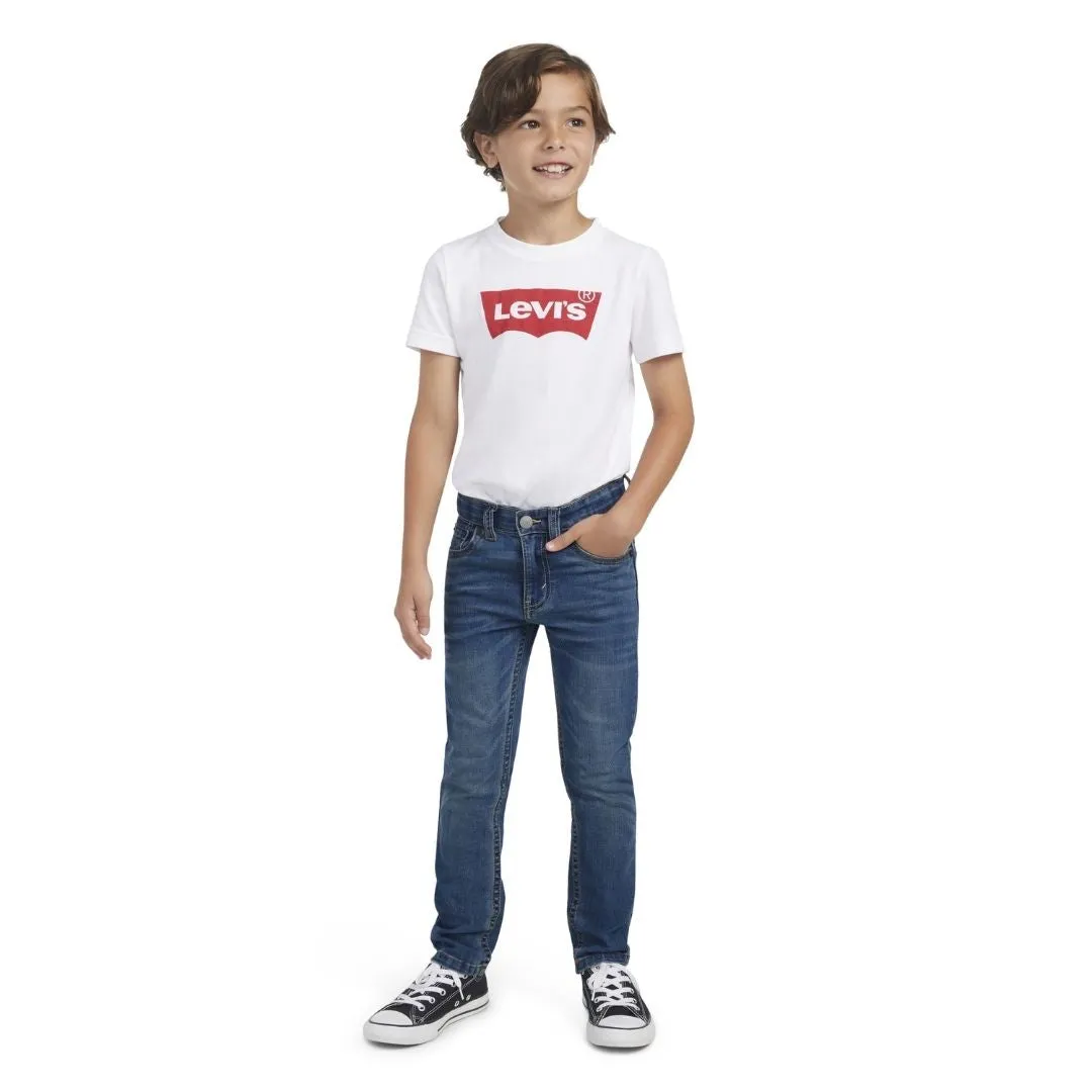 Levi's Boys 510 Eco Performance Jeans Calabasas (Little Kids)