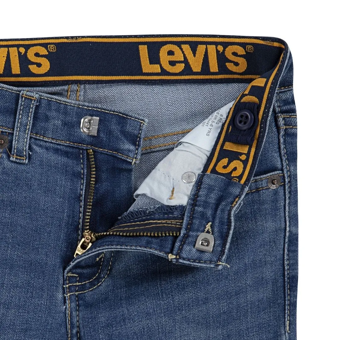 Levi's Boys 510 Eco Performance Jeans Calabasas (Little Kids)